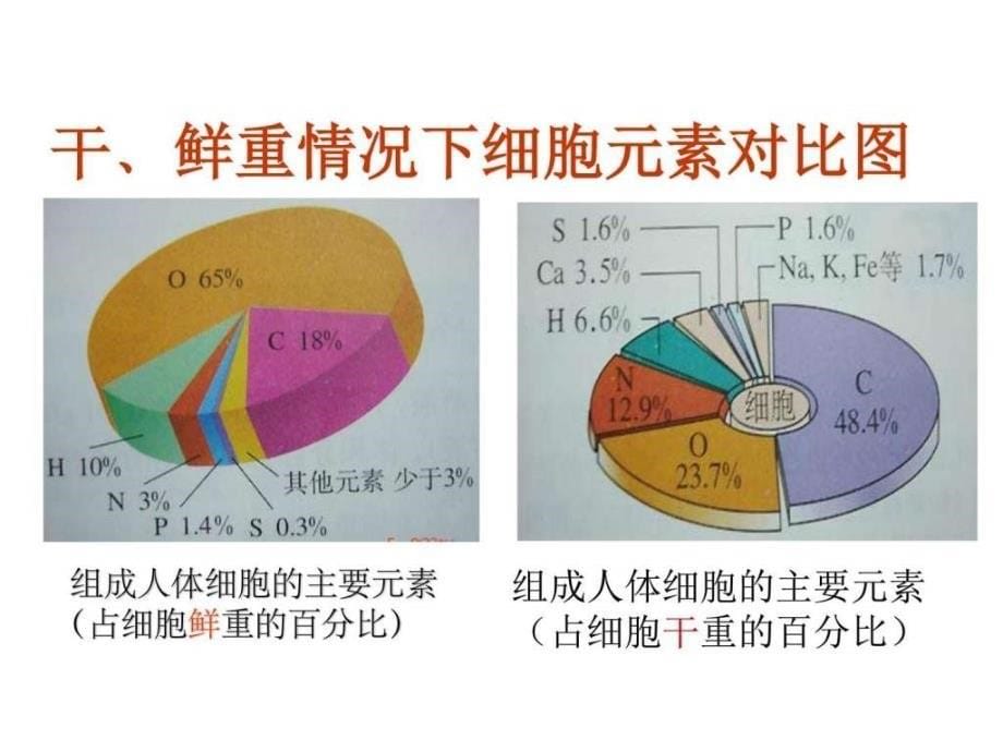 2.1细胞中的元素和化合物ppt高一语文语文高中教育教育专区.ppt12_第5页