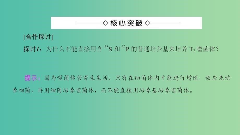 高中生物第3章遗传的分子基础第1节核酸是遗传物质的证据课件浙科版.ppt_第5页