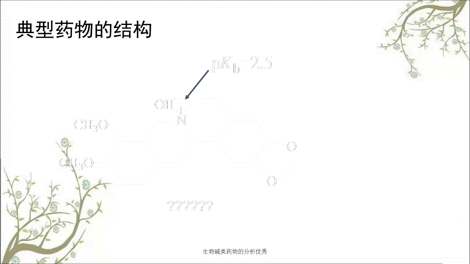 生物碱类药物的分析优秀_第2页