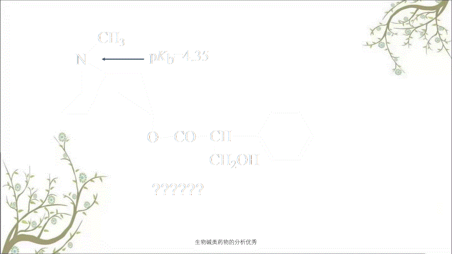 生物碱类药物的分析优秀_第4页