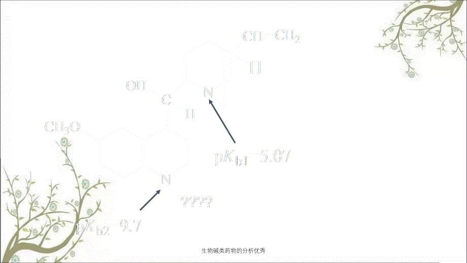 生物碱类药物的分析优秀_第5页