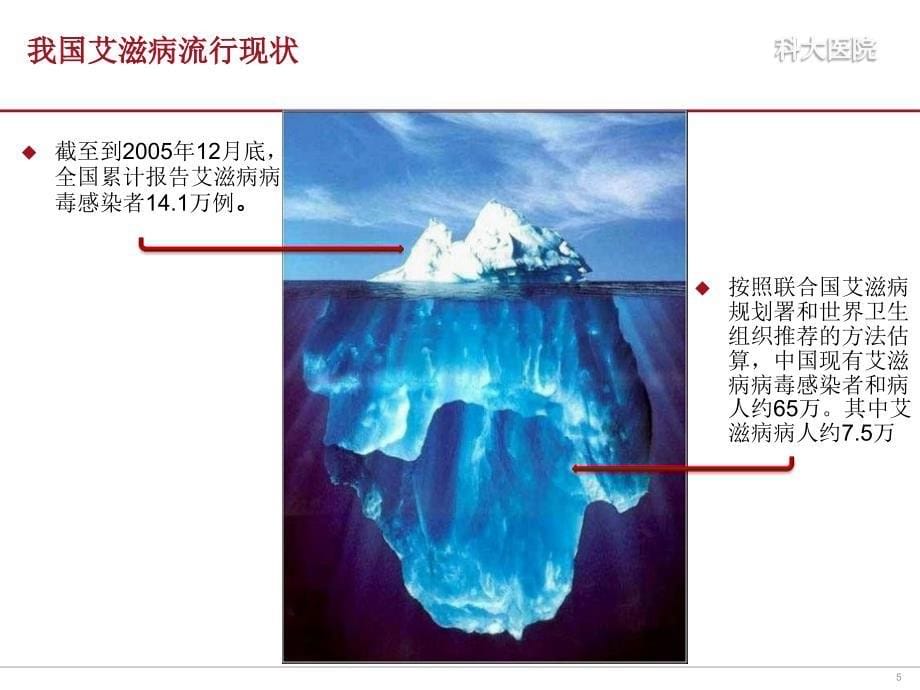 我国滋病流行现状_第5页