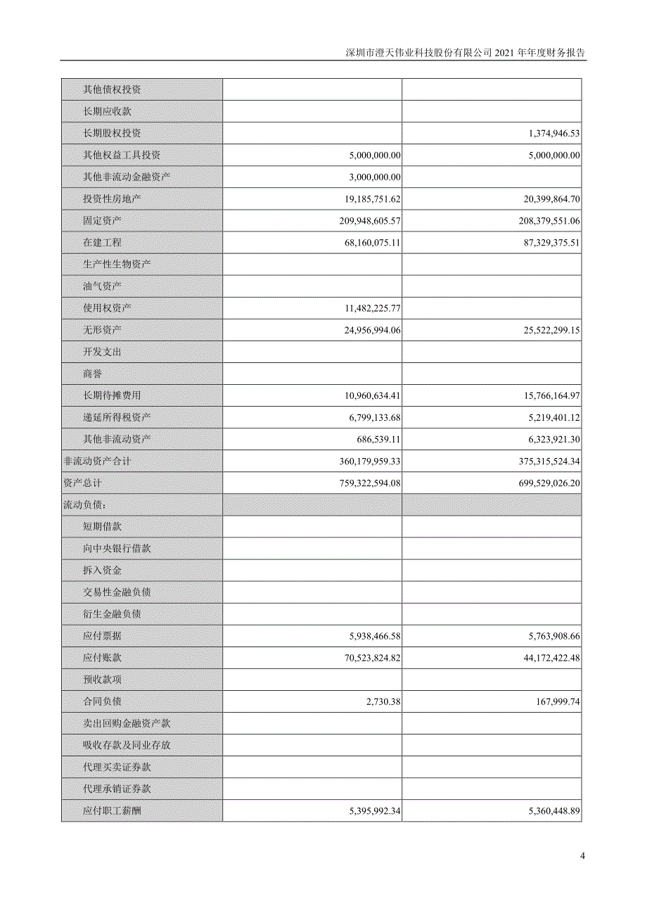 澄天伟业：2021年年度财务报告_第4页