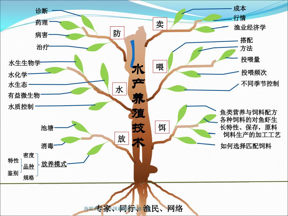 池塘养殖关键点_第2页