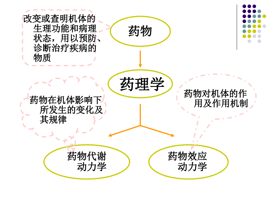 药理学第一至四章文档资料_第2页