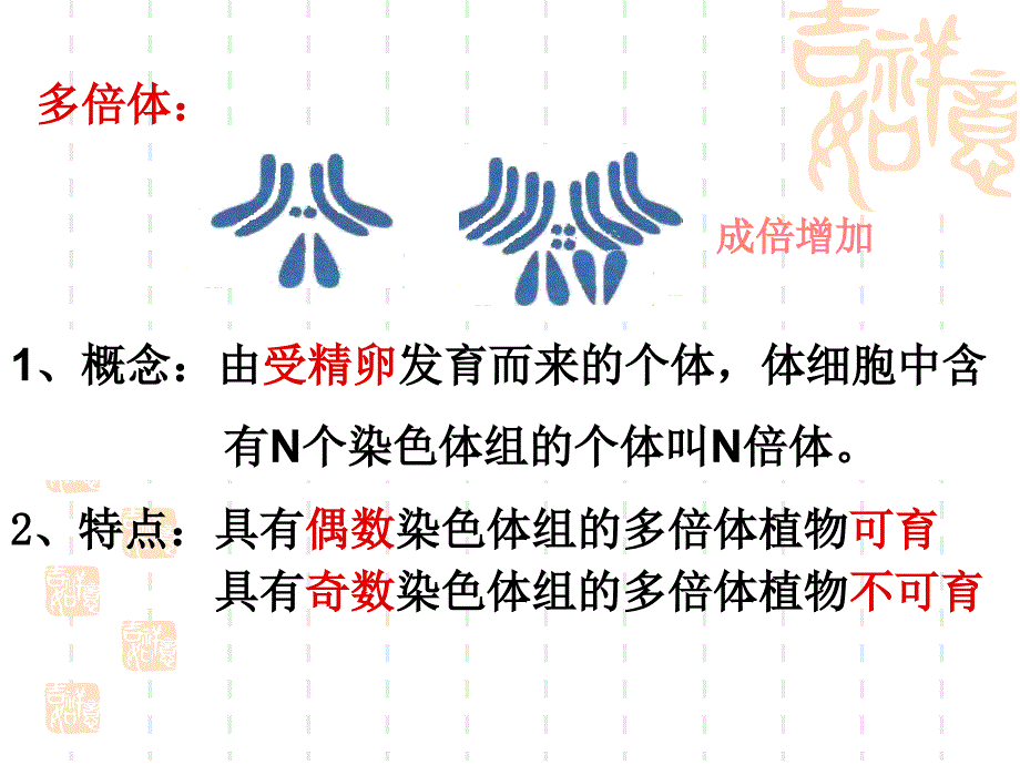 染色体变异应用课件_第3页