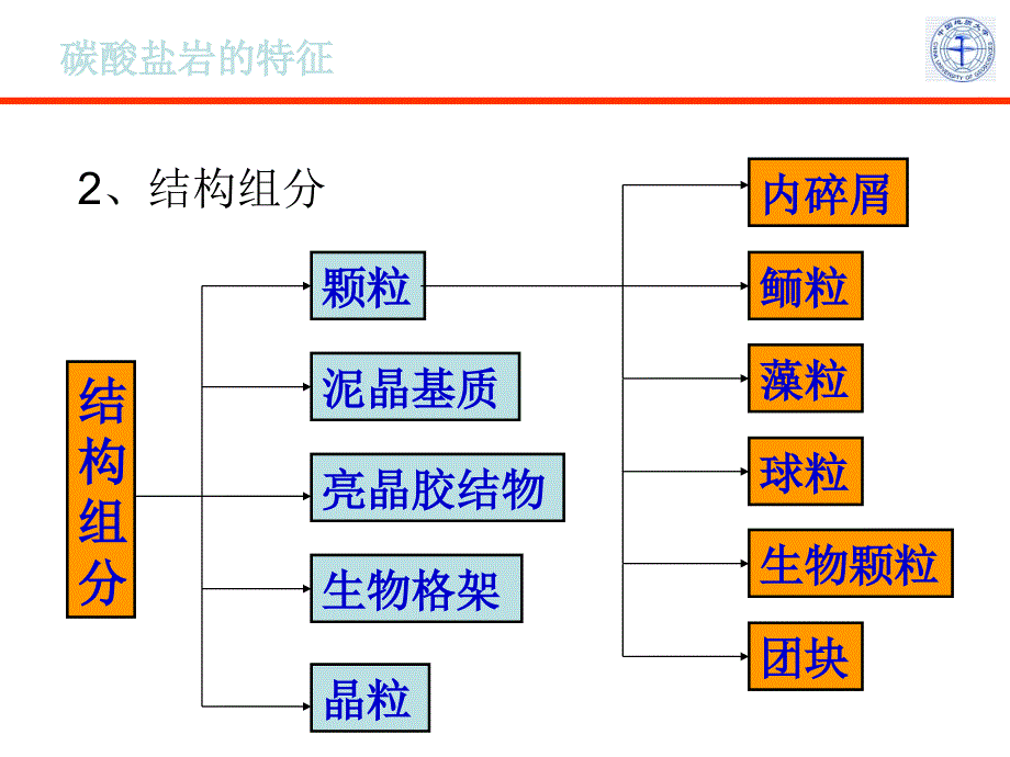 碳酸盐岩——灰岩_第3页