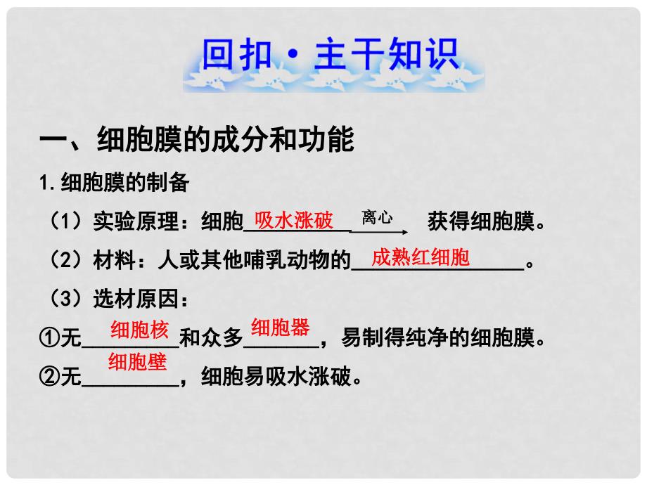 福建省长汀四中高一生物《3.1.3 细胞膜 系统的边界细胞核 系统的控制中心》课件 新人教版必修1_第2页