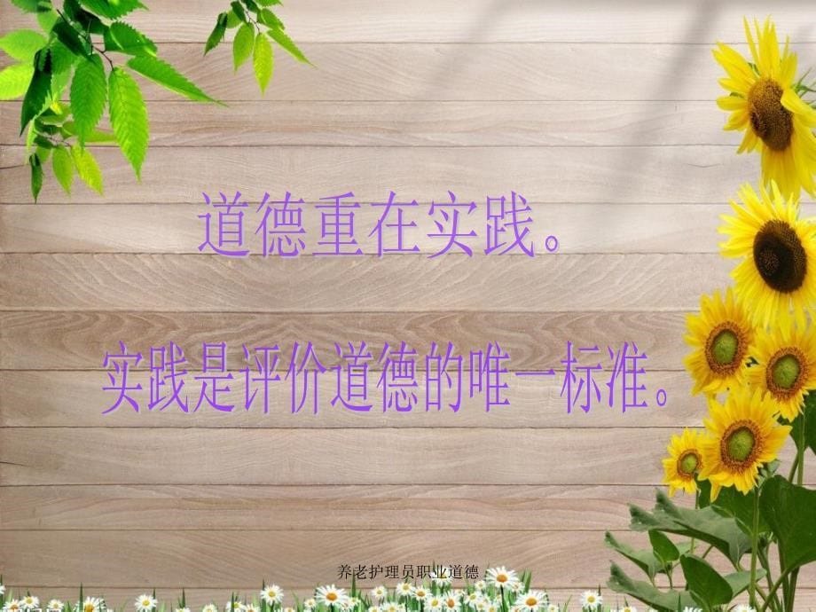 养老护理员职业道德_第5页