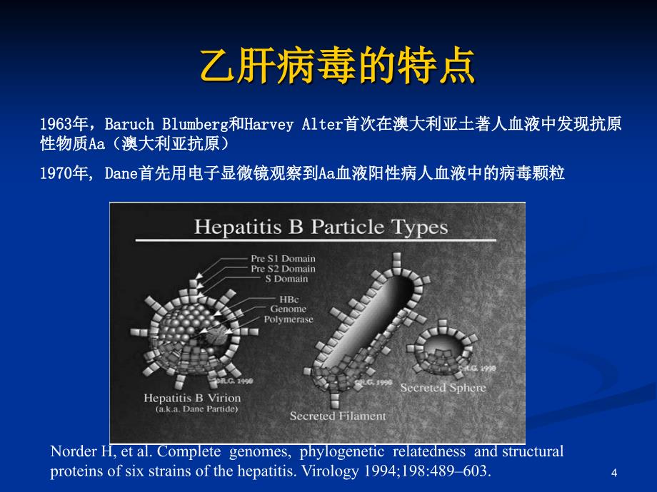 乙肝病毒相关性肾炎ppt课件_第4页