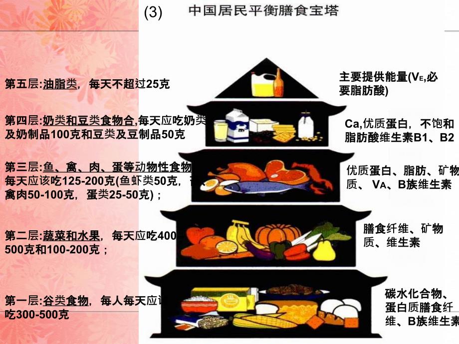 营养环境与生活教学文案_第2页