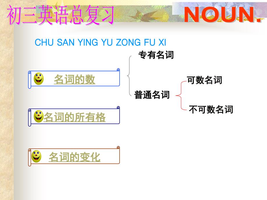初中语法精讲--名词_第3页