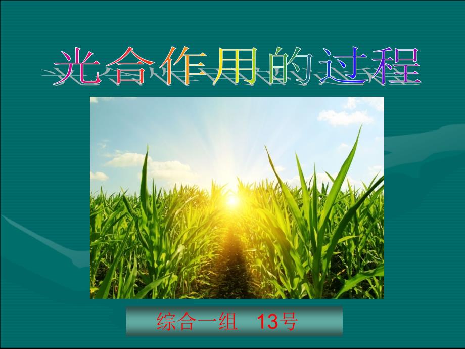 说课比赛光合作用说课课件市一等奖.ppt_第3页