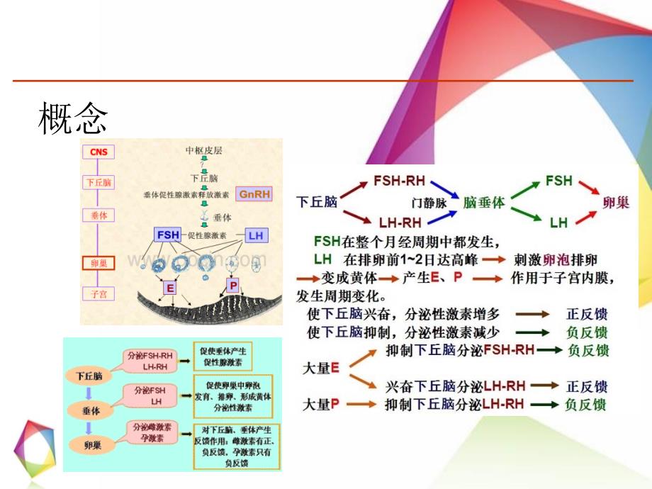 异常子宫出血_第3页