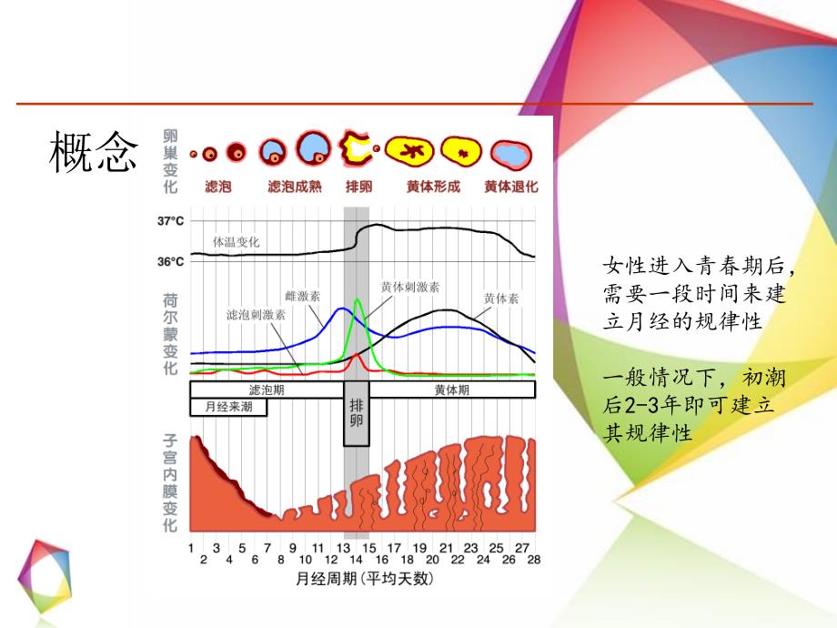 异常子宫出血_第4页