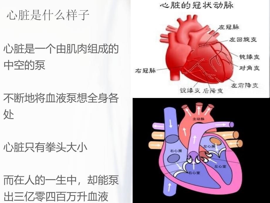 急性心肌梗死科普_第4页