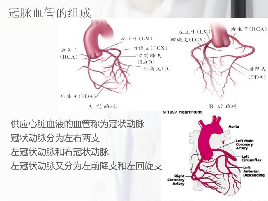 急性心肌梗死科普_第5页