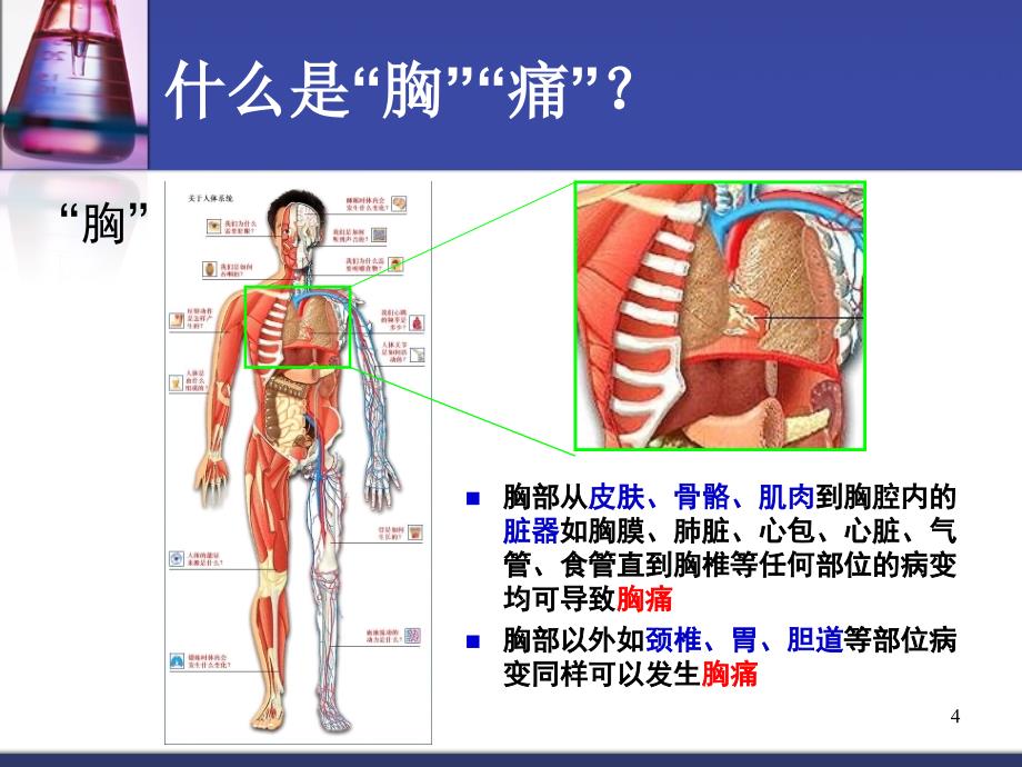 （优质课件）胸痛健康教育_第4页