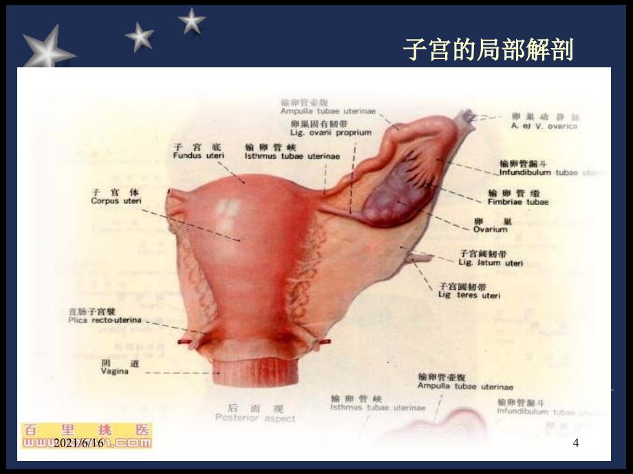 剖宫产术前及术后护理_第4页