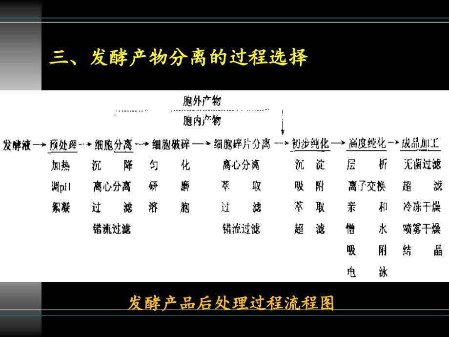 发酵产物的分离提取课件_第5页