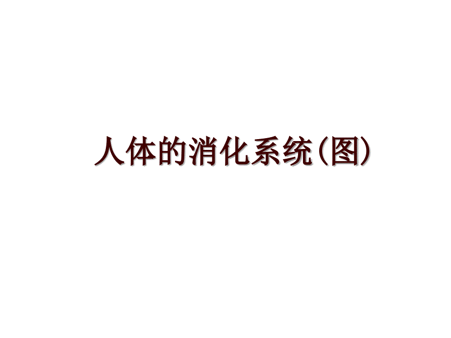 人体的消化系统(图)_第1页