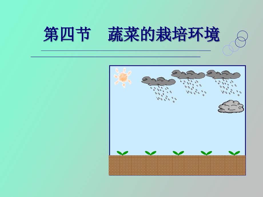 蔬菜的栽培环境_第1页