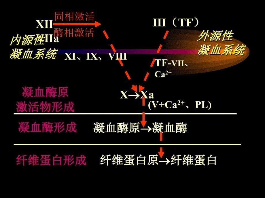 病理生理学凝血与抗凝血平衡紊乱DIC_第5页