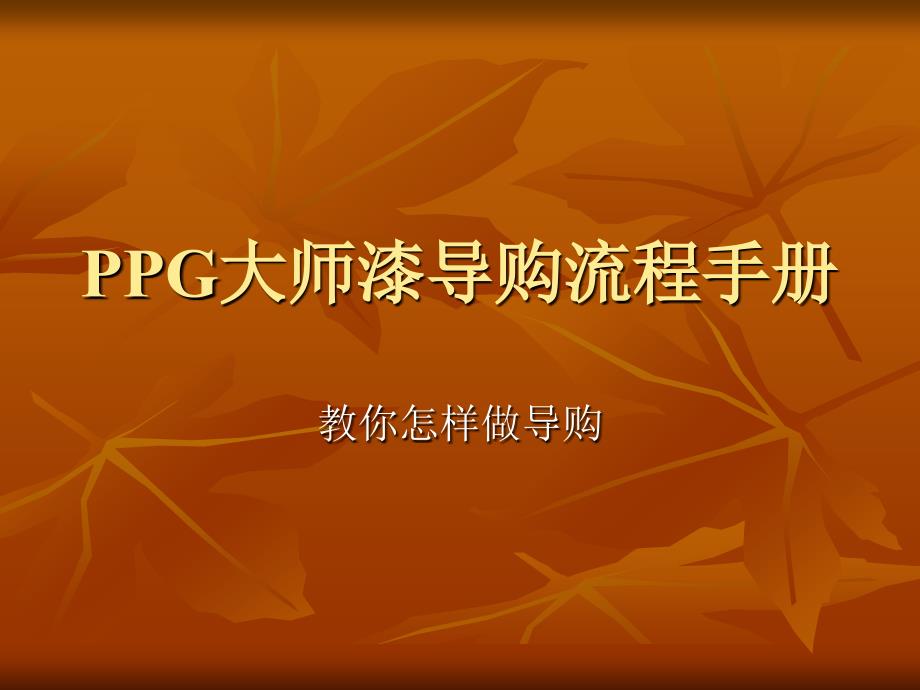 《大师漆导购培训》课件.ppt_第2页