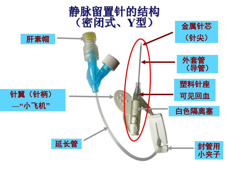 静脉留置针输液法_第4页