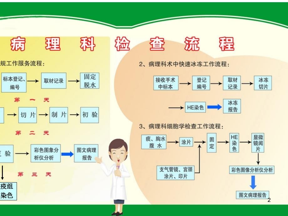 病理科宣传栏PPT参考幻灯片_第2页