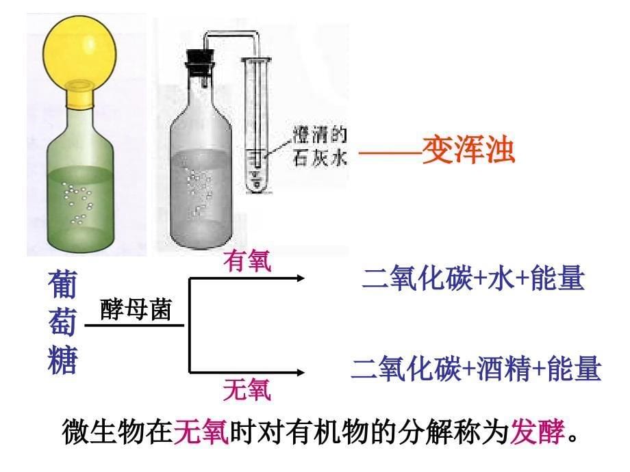 《人类对细菌和真菌的利用》课件4-1_第5页