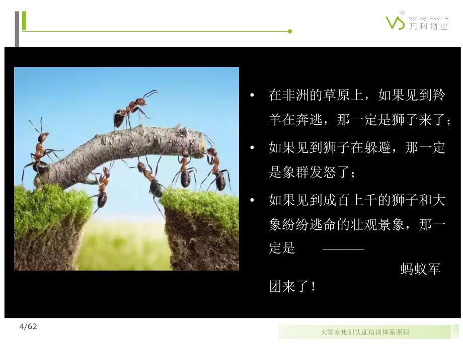 培训-14-团队管理的方法与技巧.ppt_第4页