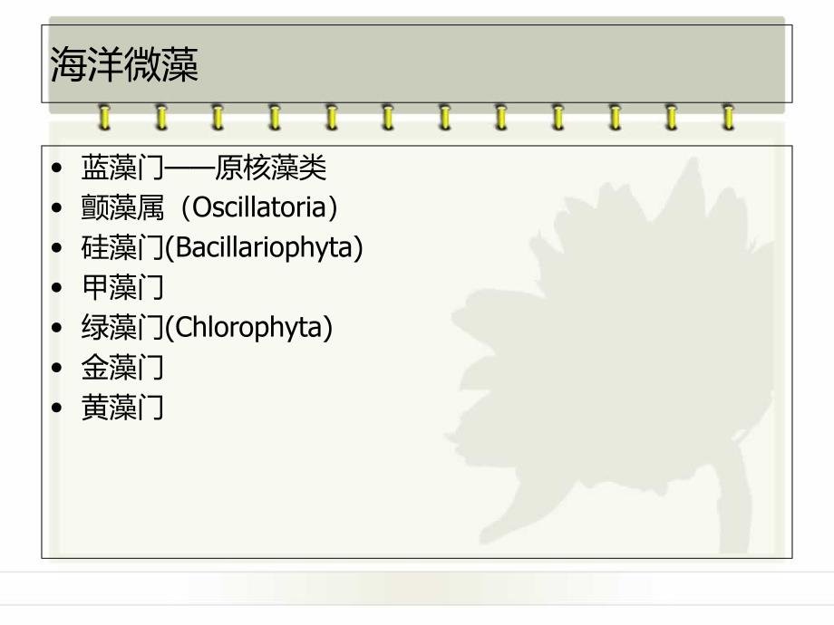 海洋微藻的分类PPT课件_第2页