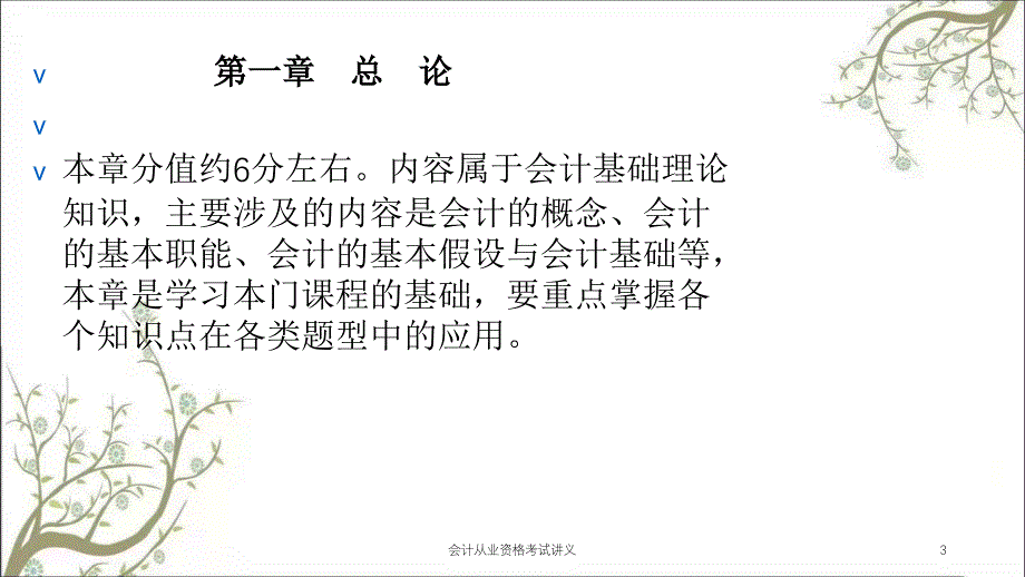 会计从业资格考试讲义课件_第3页