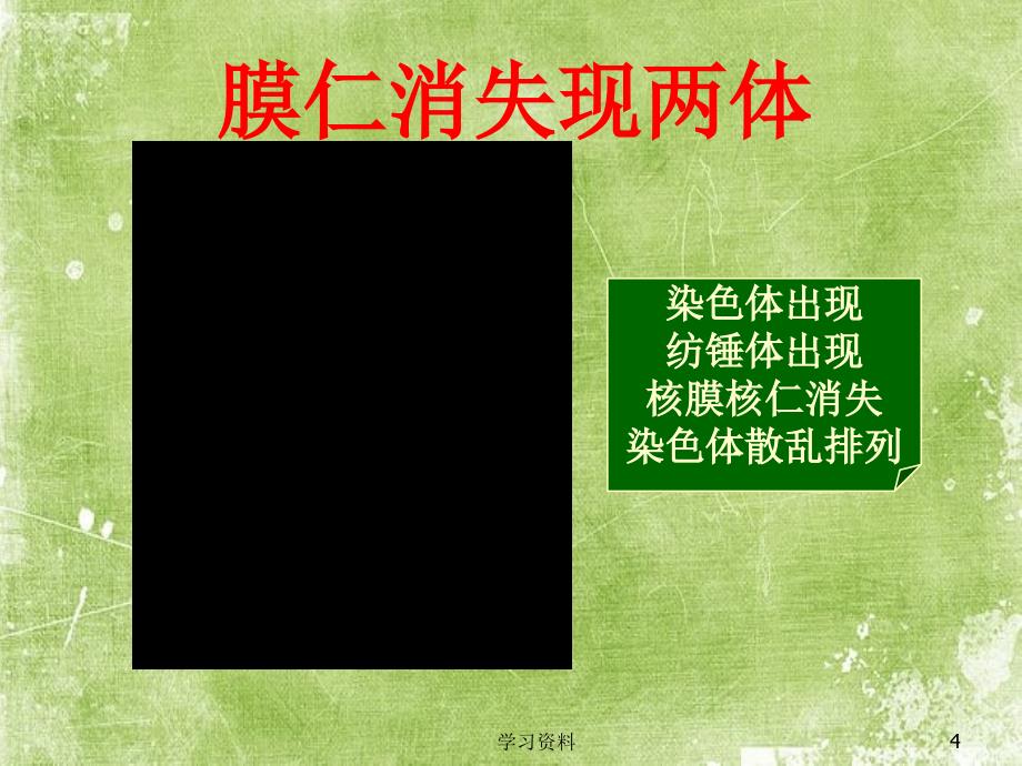 细胞增殖课件精选#学习资料_第4页