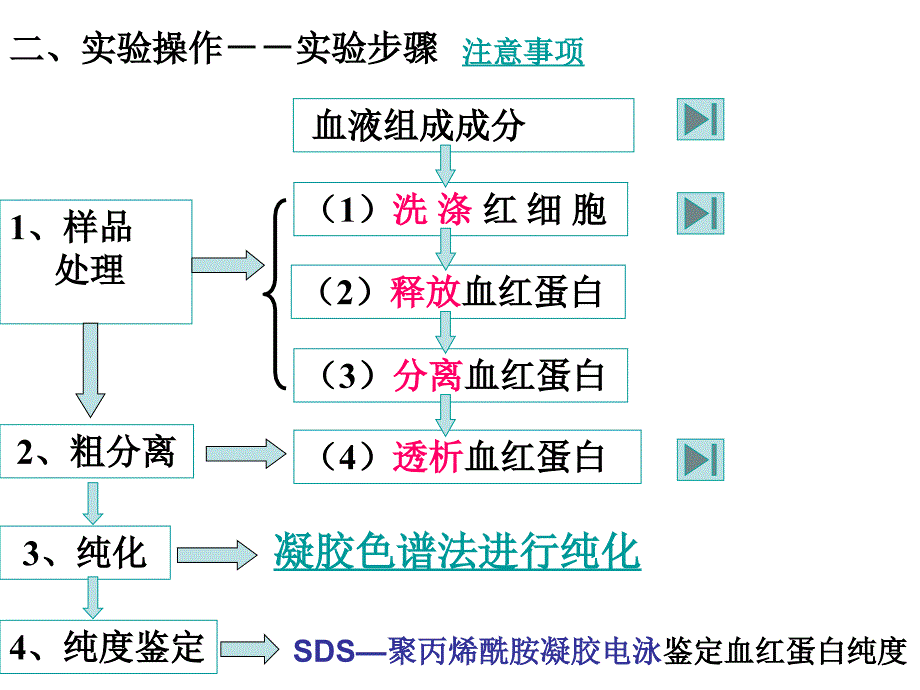 血红蛋白的分离和提取_第4页