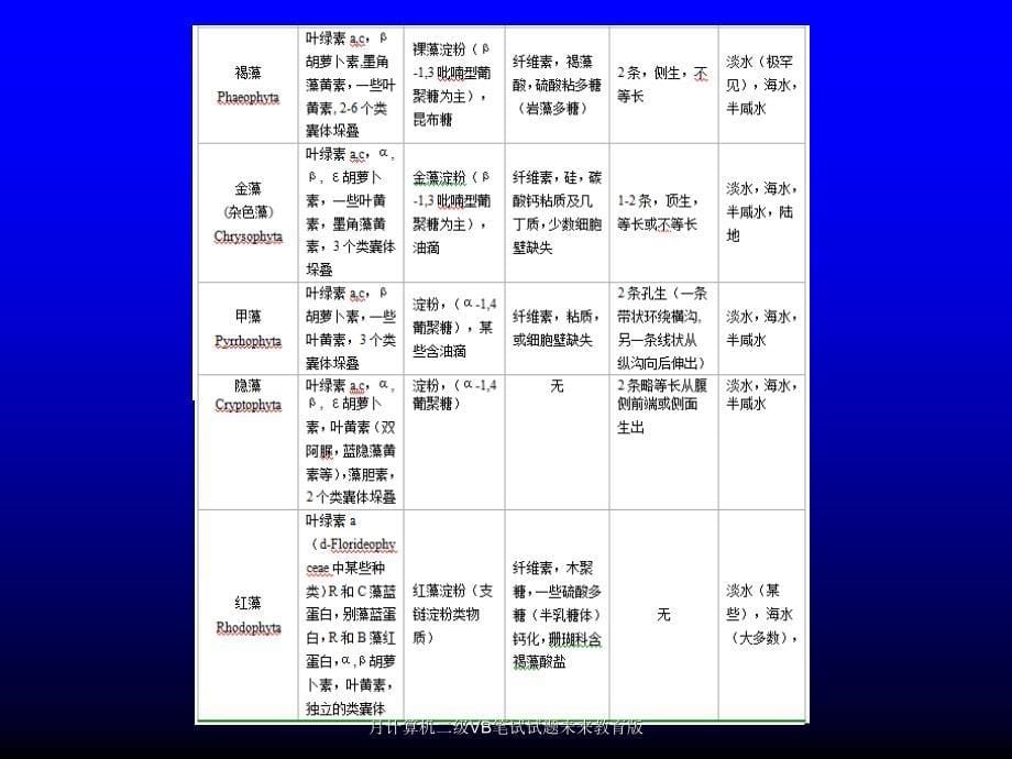 月计算机二级VB笔试试题未来教育版课件_第5页