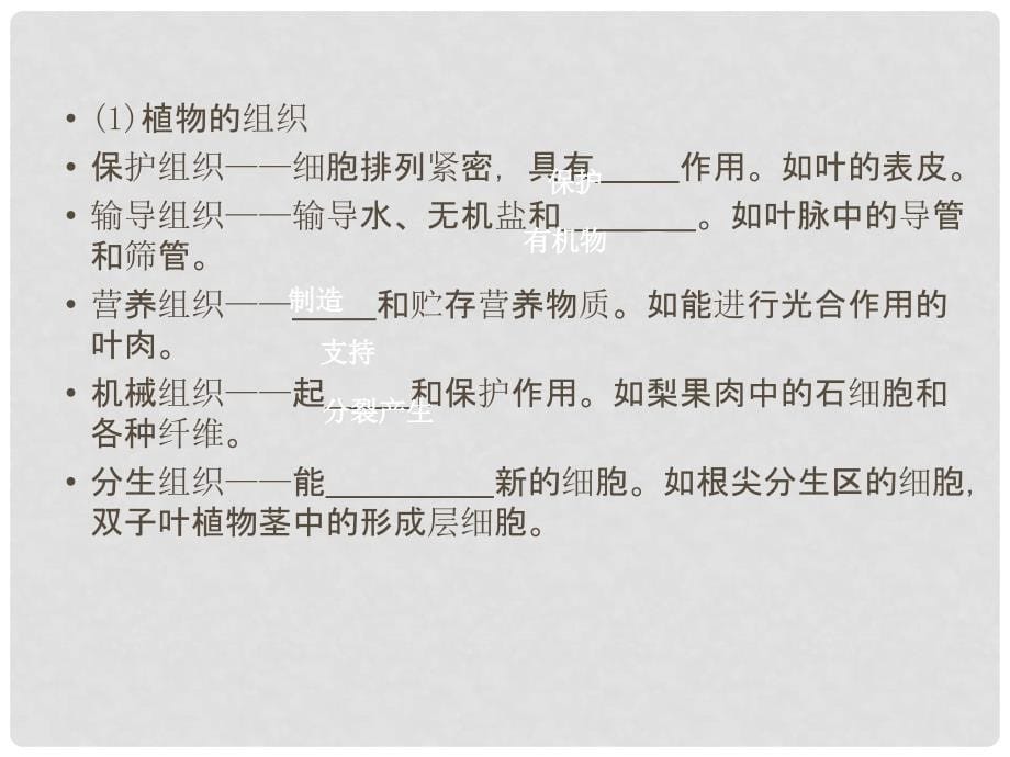 中考科学 专题2细胞精品课件 浙教版_第5页