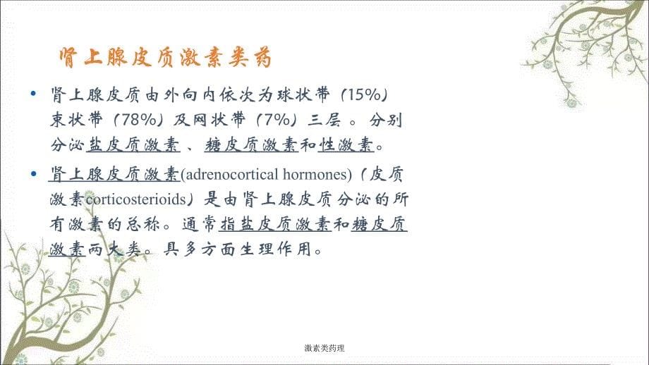 激素类药理课件_第5页