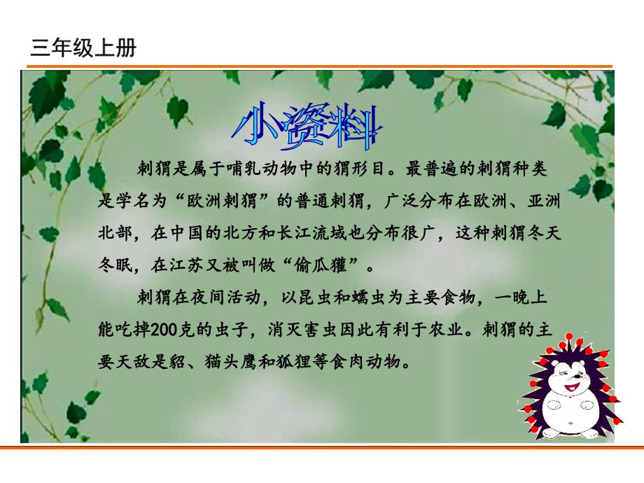 课件----23.带刺的朋友(1)课件_第4页