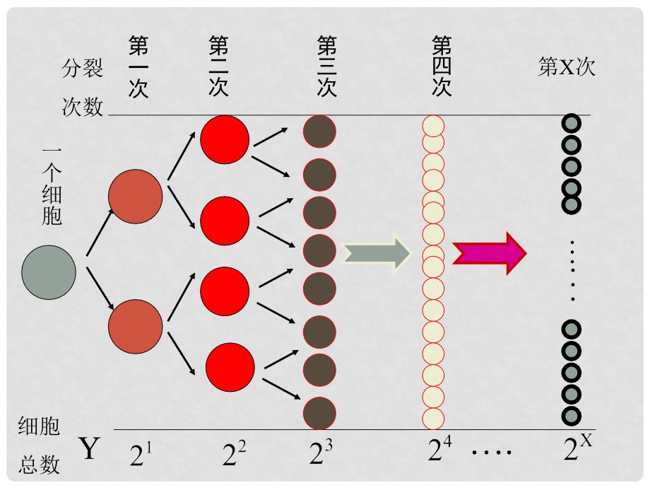 高中数学教师竞赛作品《指数函数》课件 苏教版必修1_第3页