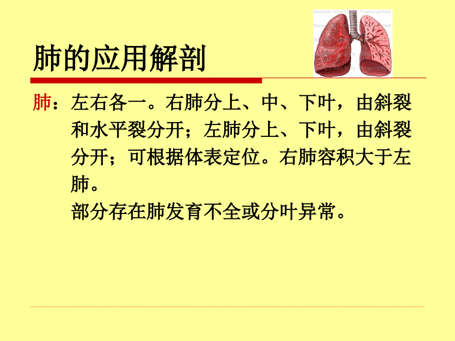 外科学教学课件：肺癌Lung Cancer_第2页