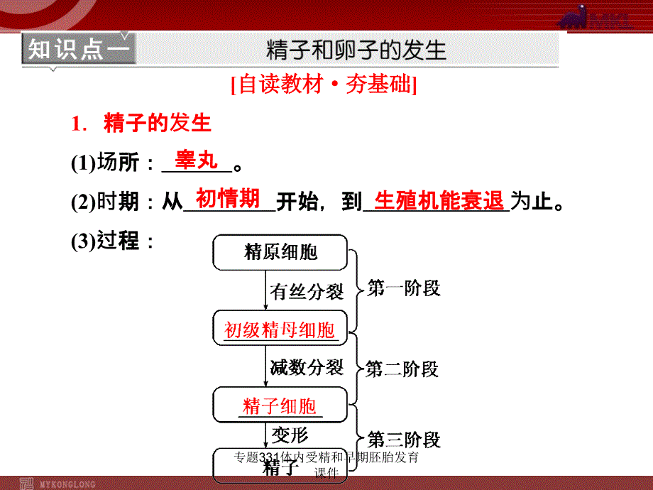 专题331体内受精和早期胚胎发育课件_第4页