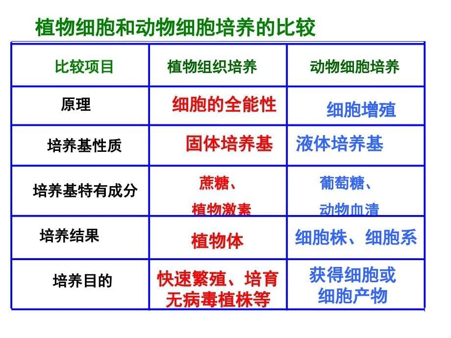 动物细胞工程课件_第5页