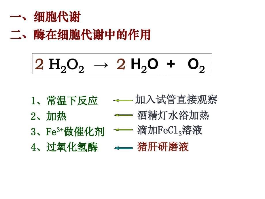 生物5.1降低化学反应活化能的酶课件人教版必修1_第5页