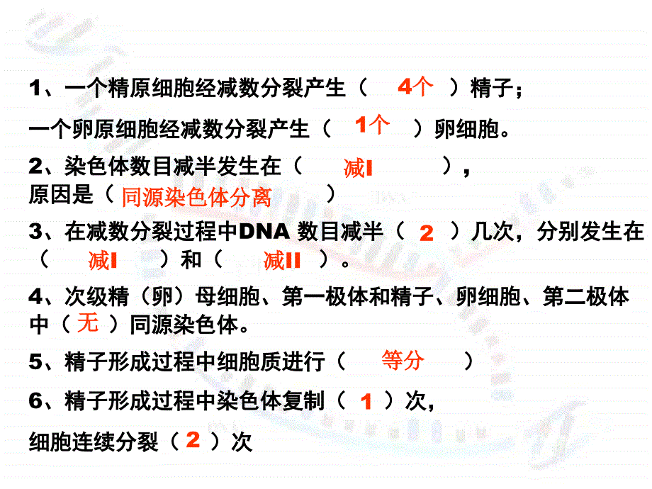 2.1减数分裂和受精作用复习课件1[精选文档]_第3页