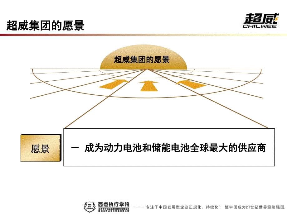 超威集团五年战略梳理_第5页