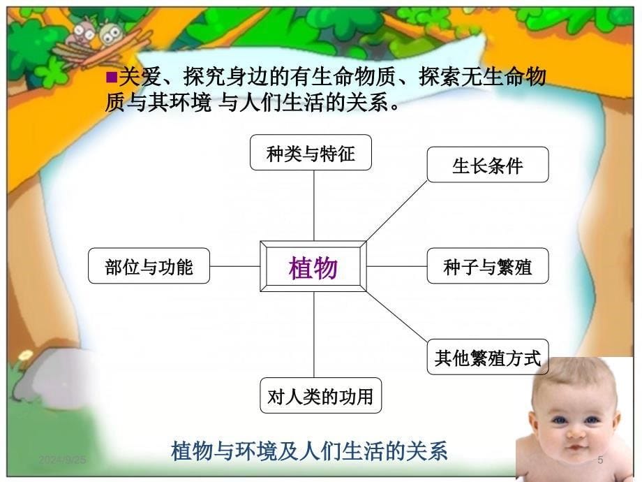 学前儿童科学教育活动的内容和方法娇PPT精选文档_第5页