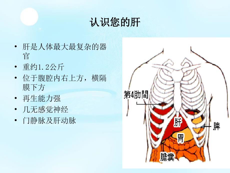 卫生统计学课件：病毒性肝炎_第2页