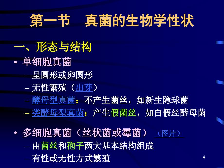 医学微生物学：第35章 真菌学总论_第4页